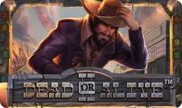 Dead or Alive II Vox Casino