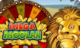 Mega Moolah jackpot Vox Casino