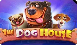 The Dog House Vox Casino